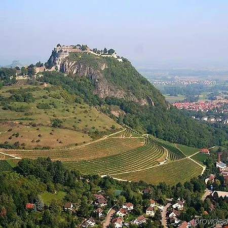 ホテル ホリデイ エクスプレス シンゲン
